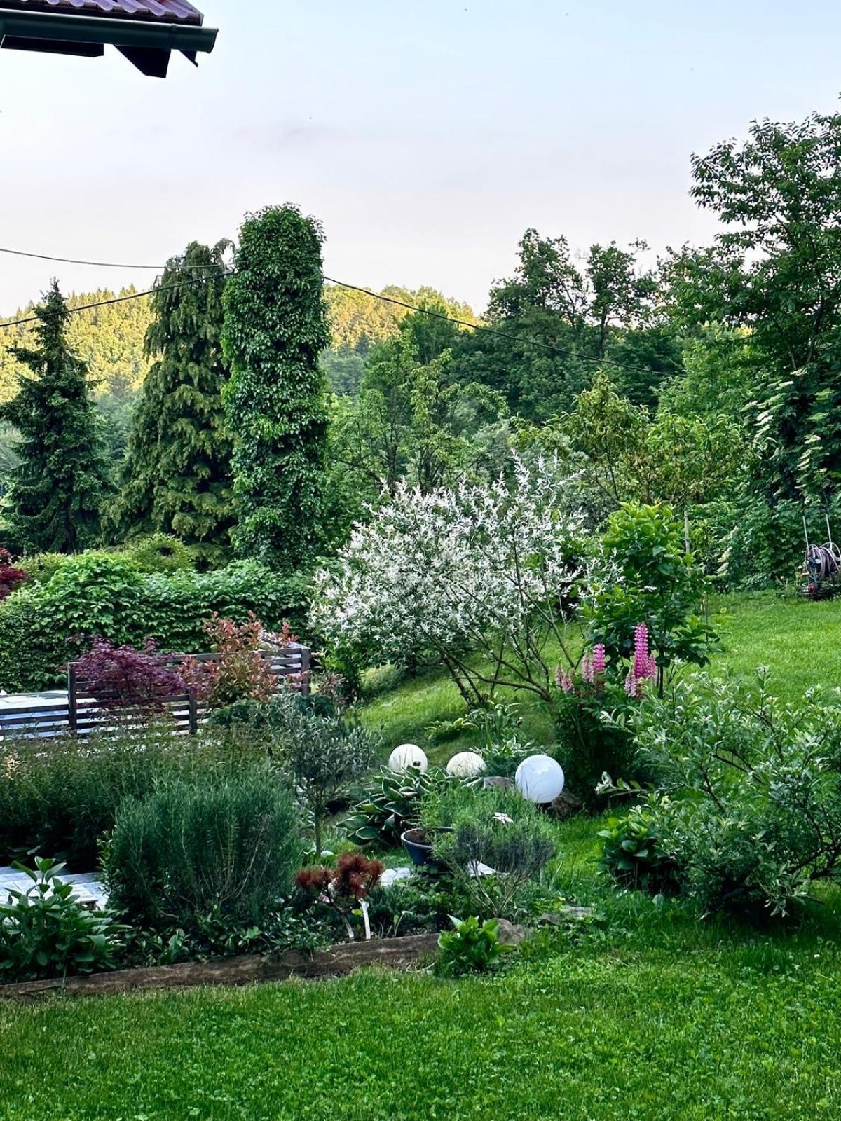 Lizmari Apartment Podcetrtek Bagian luar foto